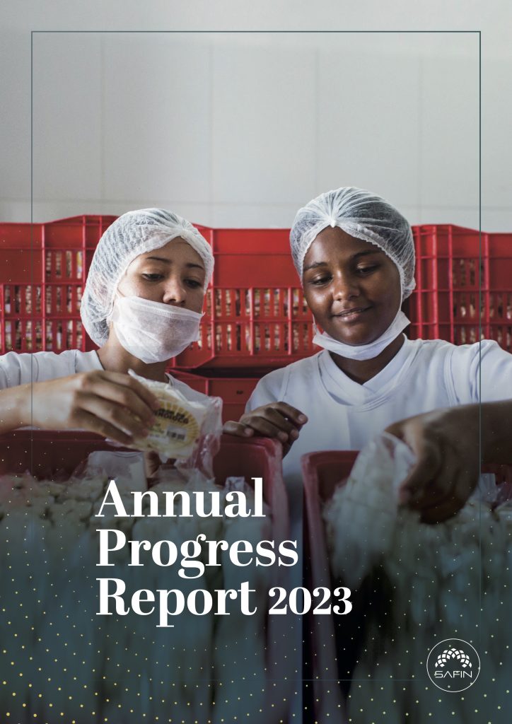 Annual report of SAFIN 2023